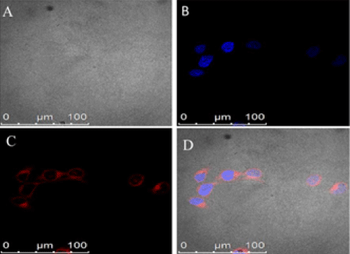 Subcellular
