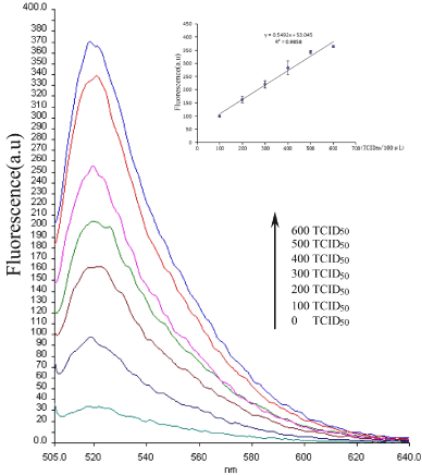 detection