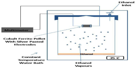 sensor