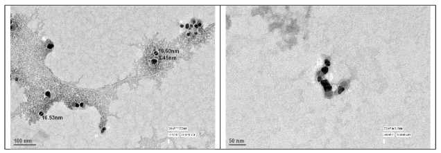 nanoparticles