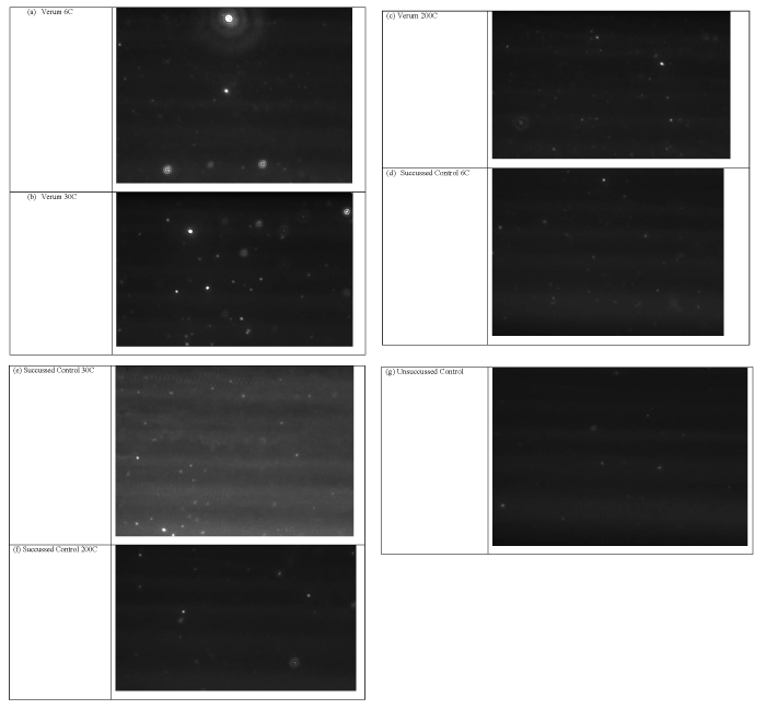 Brownian