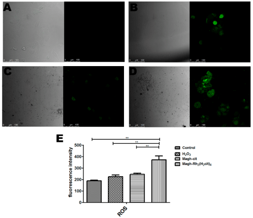 nanoparticles