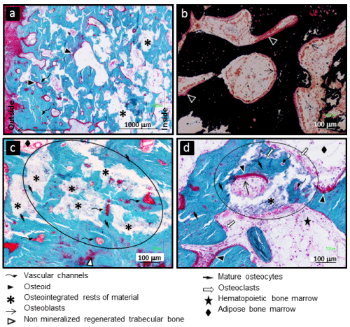 biomaterial