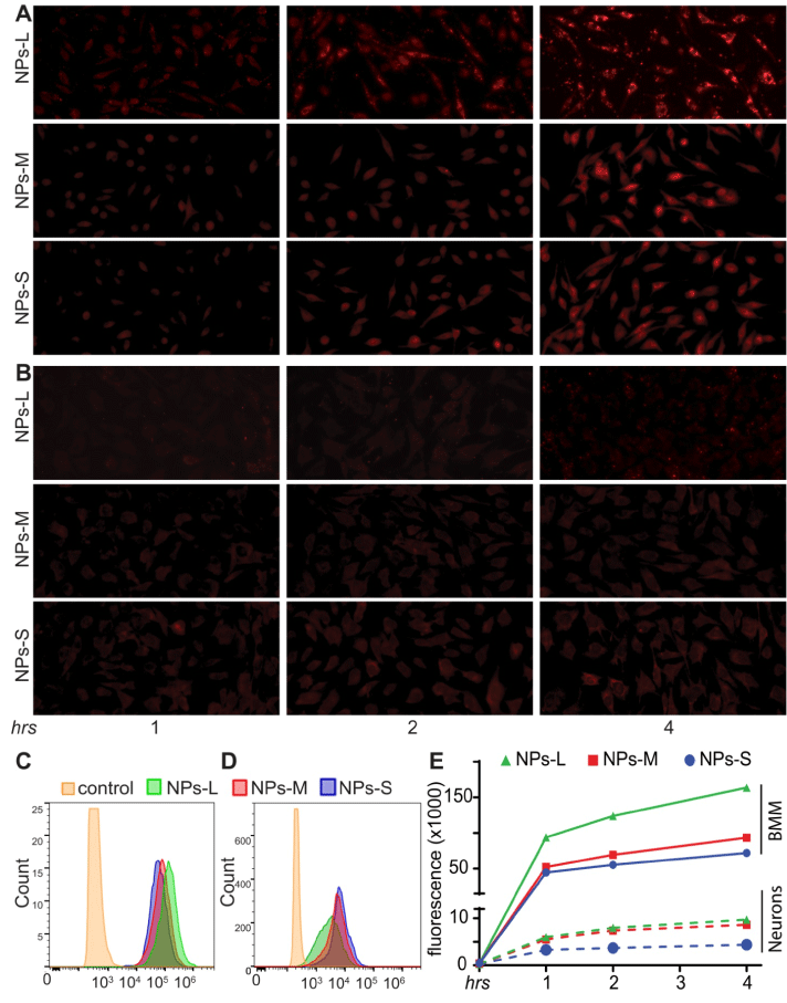 nanocomplex