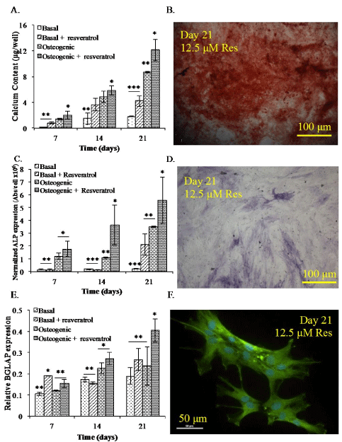 osteogenic