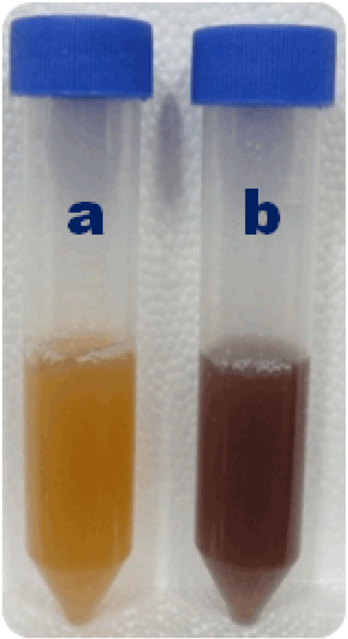 Biosynthesis
