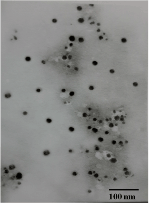 microscopic