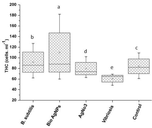 haemocyte