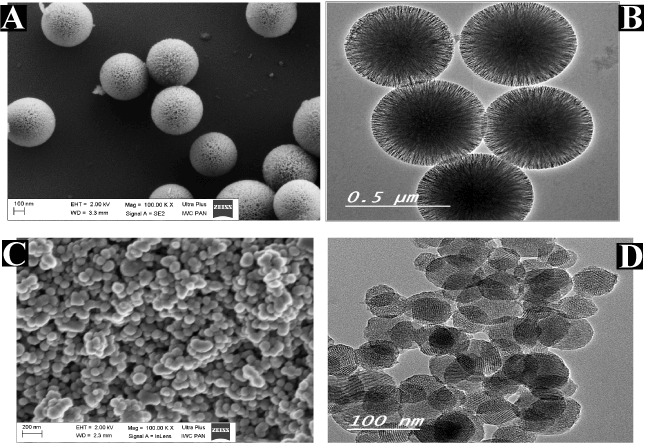 mesoporous