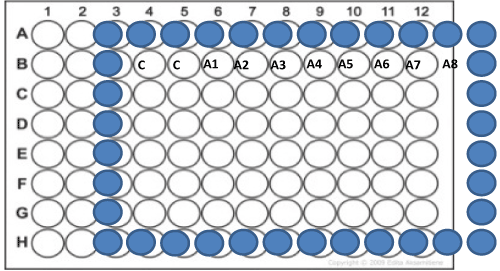 organisation