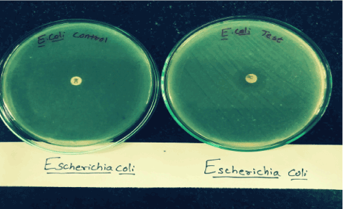 biologically