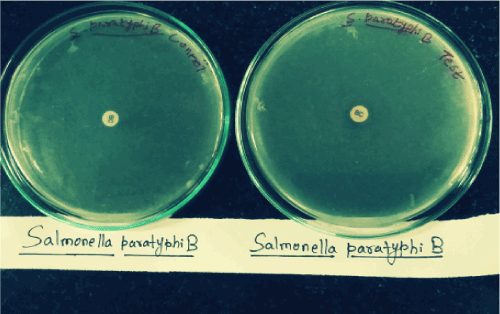 biologically
