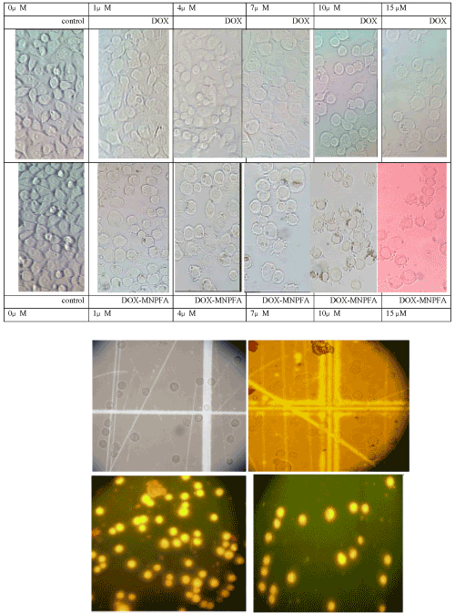 microscopy
