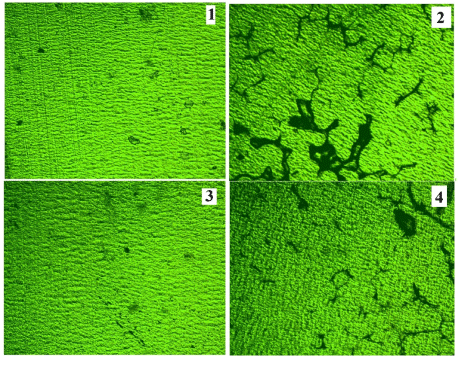 nanocomposite