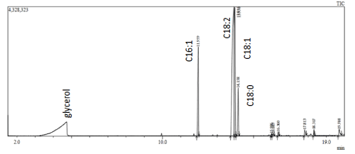 GC-MS