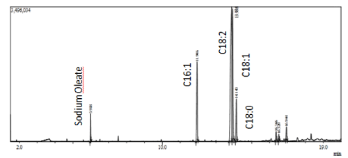 biodiesel