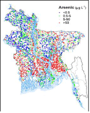 Distribution