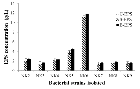 bacterial