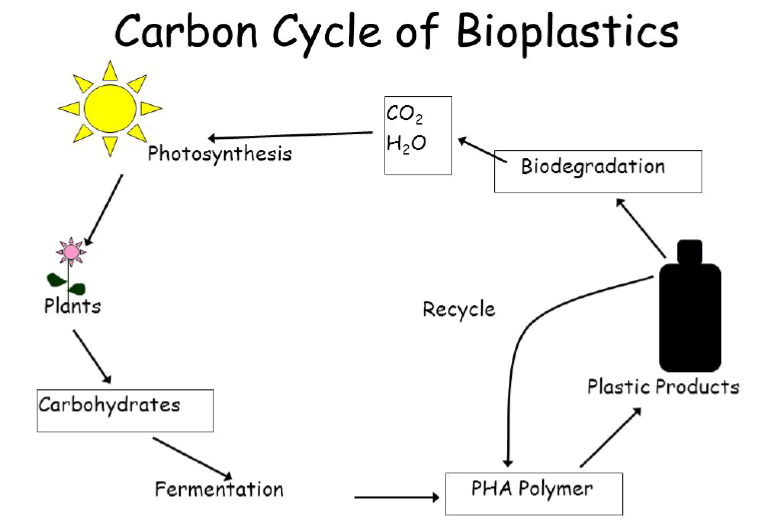 bioplastic research paper need for bioplastics and role of biopolymer phb a short review bioplastic research paper need for bioplastics and role of biopolymer phb a short review