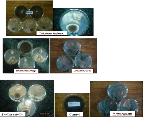 Biocontrol