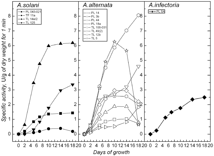 exoproteolitic