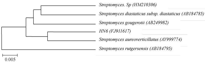 phylogenetic