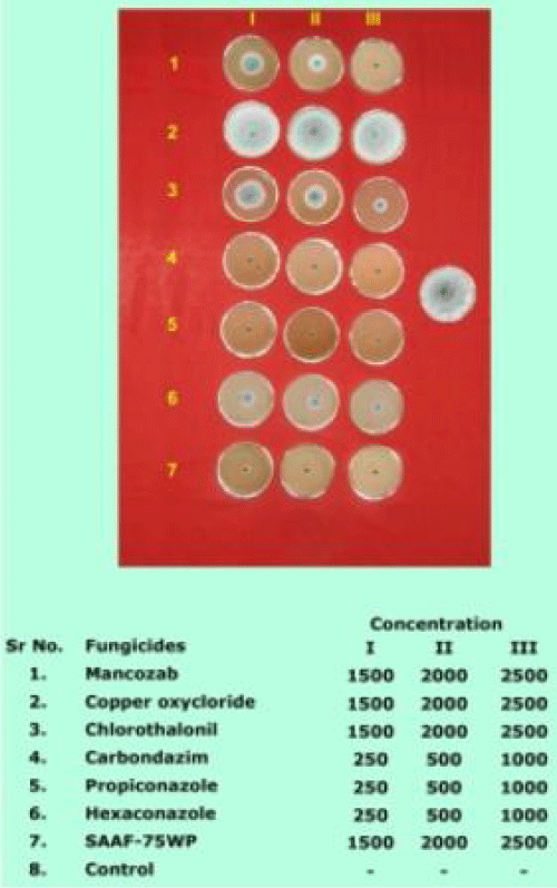 fungicides
