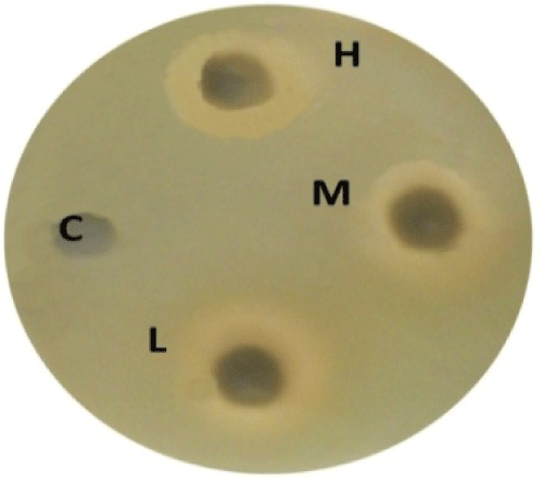 methanol