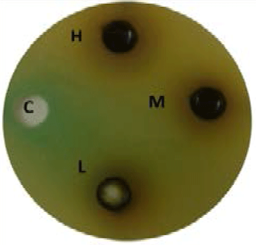 ethanol
