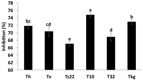 RNA isolated from leaves