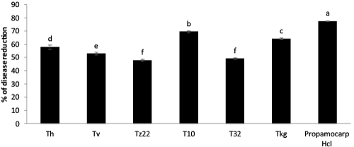 RNA isolated from leaves