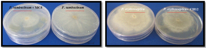 metabolites