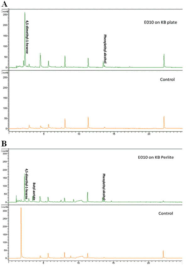 chromatogram