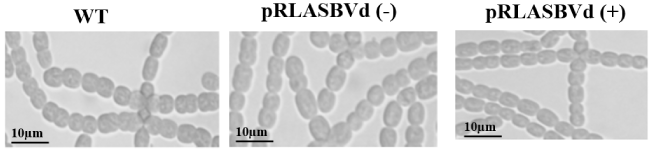 physiological
