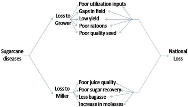 Losses