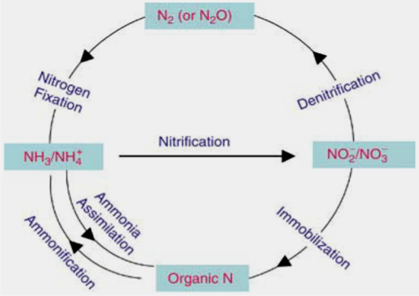 Biogeochemical