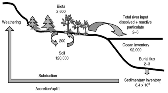 cycle