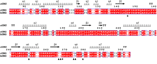Sequence