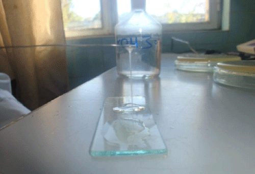 solubility