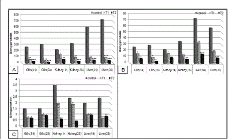 enzymatic