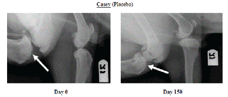 Radiographs