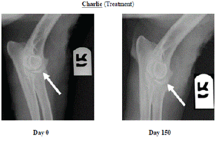 Radiographs
