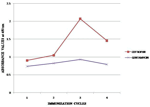Comparative