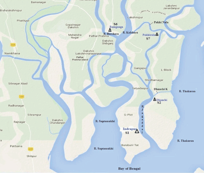 Estuary