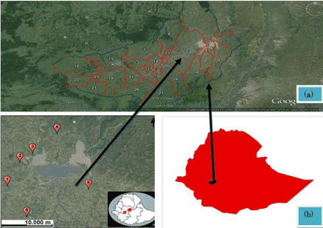 KML map