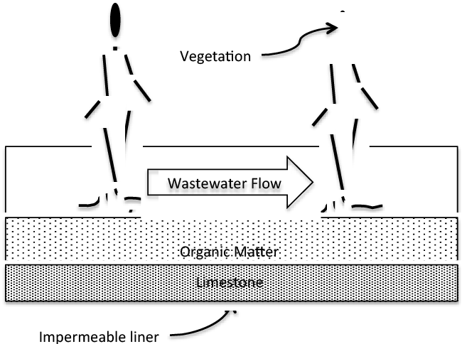 Anaerobic
