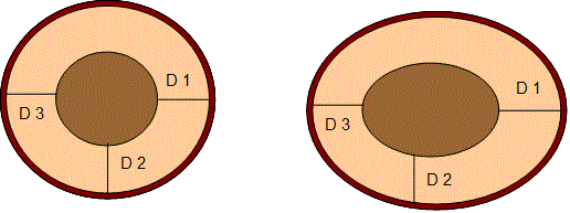 measurement