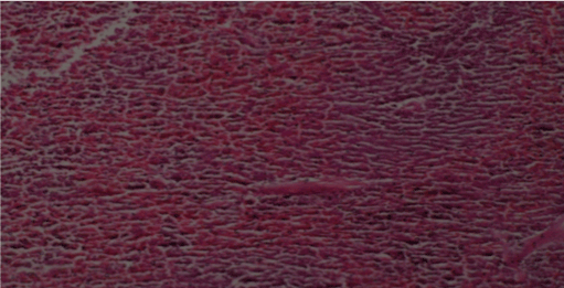 Histological