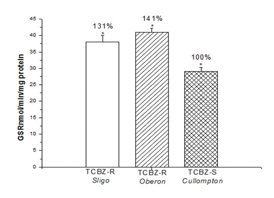 Cuantification