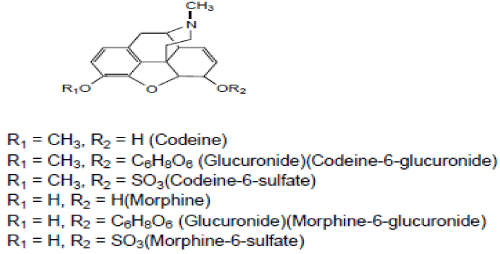 Examples of metabolites